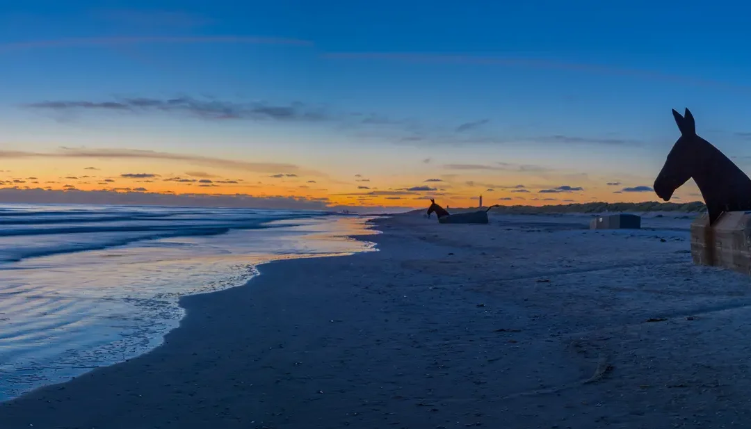 Bunkernes historie på blåvand strand